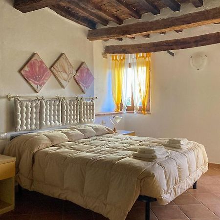 Agora Leilighet Montecatini Val di Cecina Eksteriør bilde