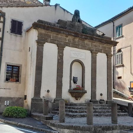 Agora Leilighet Montecatini Val di Cecina Eksteriør bilde